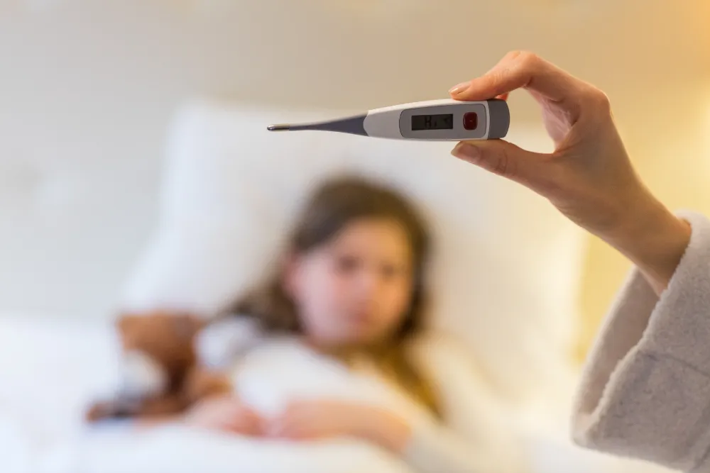 10 dicas essenciais para você se proteger dos mosquitos e pernilongos 10 dicas essenciais para você se proteger dos mosquitos e pernilongos