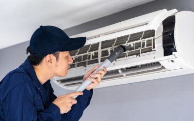 Eliminar os ácaros é importante para evitar doenças