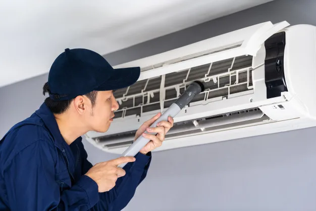 Como eliminar os ácaros? Você precisa de ajuda profissional