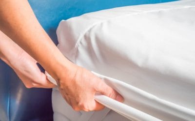 A falta de dedetização de percevejos de cama causa doenças?