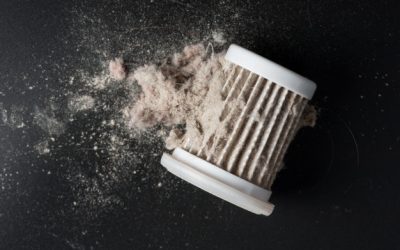 5 dúvidas sobre eliminar os ácaros da sua casa