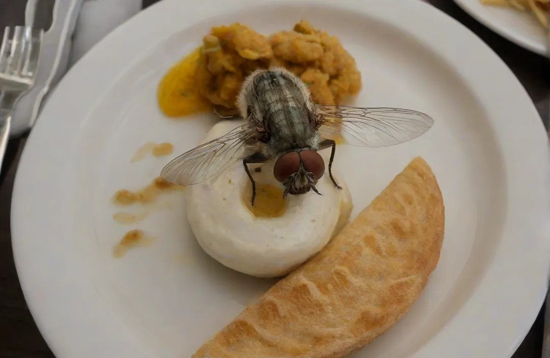 Valor da dedetização: saiba quais aspectos são considerados na conta Valor da dedetização: saiba quais aspectos são considerados na conta