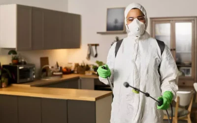 Como Planejar a Dedetização de Áreas Comuns em Condomínios?
