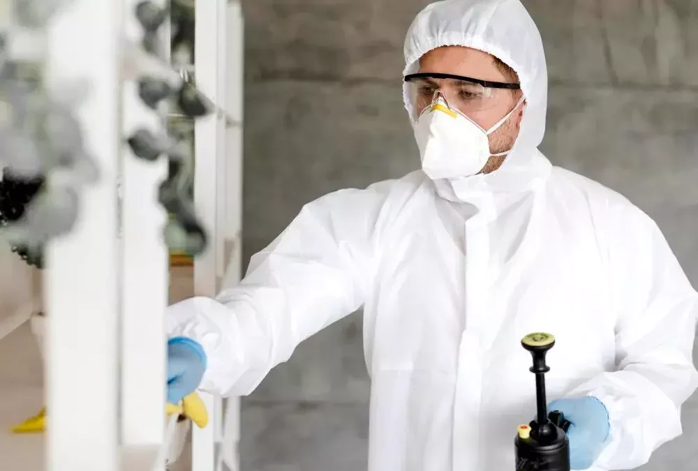 O Papel do Síndico na Contratação de Serviços de Dedetização para o Condomínio