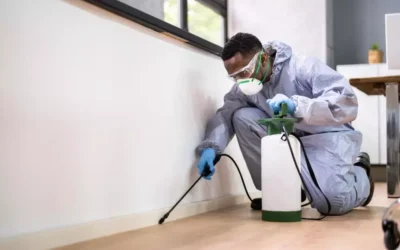 Pragas em Condomínios: Como Lidar com Reclamações de Moradores?