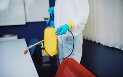 A Importância da Desinsetização Profissional para Empresas: Protegendo Seu Ambiente e Marca