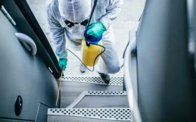 Desinsetização em Empresas Alimentícias: Cumprindo Normas Sanitárias e Evitando Multas