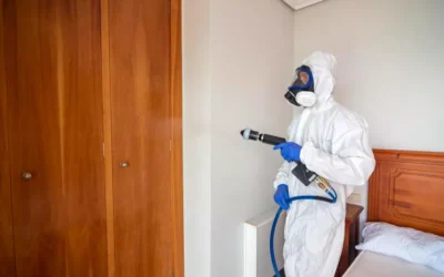 Como Funciona o Processo de Desinsetização Profissional em Empresas?