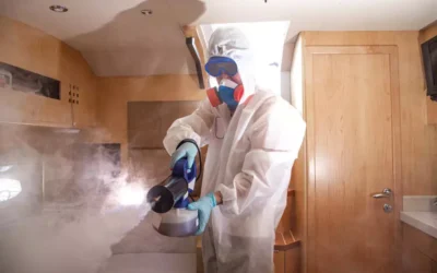 Pragas Mais Comuns em Empresas e Como a Desinsetização Profissional Pode Ajudar