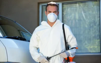 Dedetização em condomínios no verão: cuidados essenciais nas áreas comuns