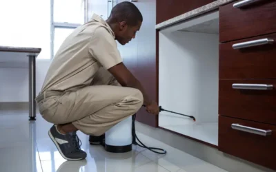 Dedetização preventiva em Curitiba: por que agir antes da infestação no calor