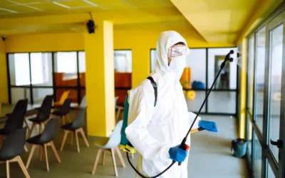 Controle de pragas em escolas e creches de Curitiba: exigências sanitárias e prevenção