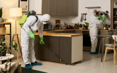 Dedetização em ambientes corporativos após o recesso: o que revisar