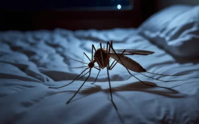 Dedetização profissional vs. soluções caseiras: riscos e consequências