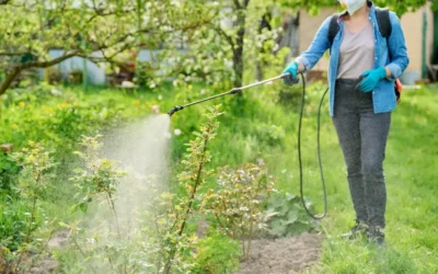 Uso correto de produtos no controle de pragas: segurança para pessoas e meio ambiente