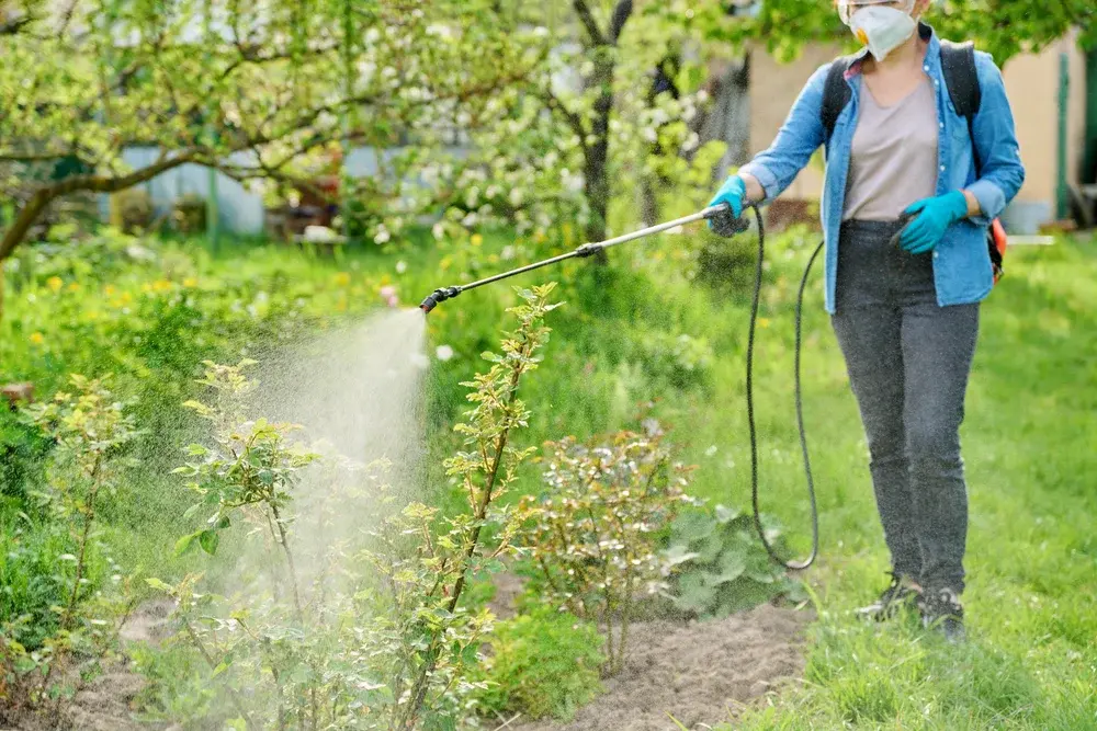 Uso correto de produtos no controle de pragas: segurança para pessoas e meio ambiente